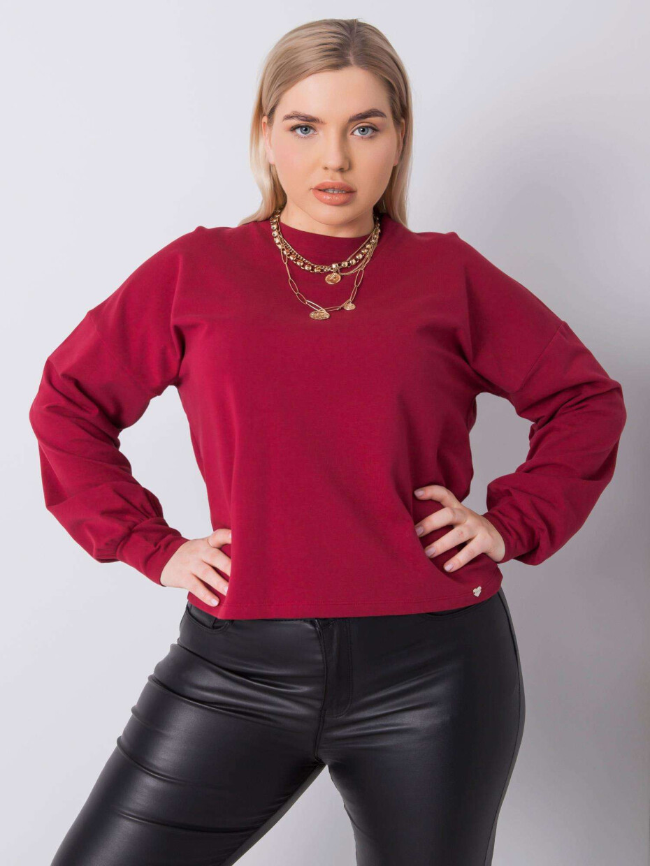 Halenka RV BL 6317.94 kaštanová XL - main (5)