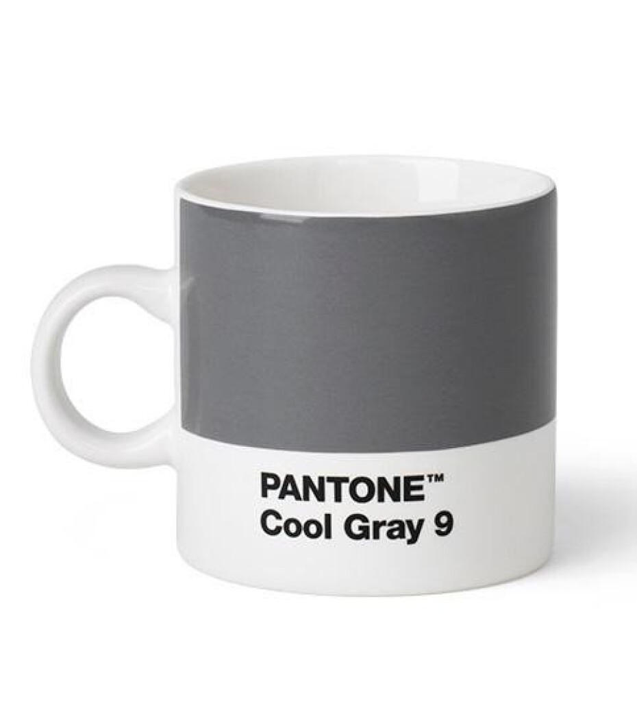 Pantone Hrnek Espresso - Cool Gray 9 - main (0)