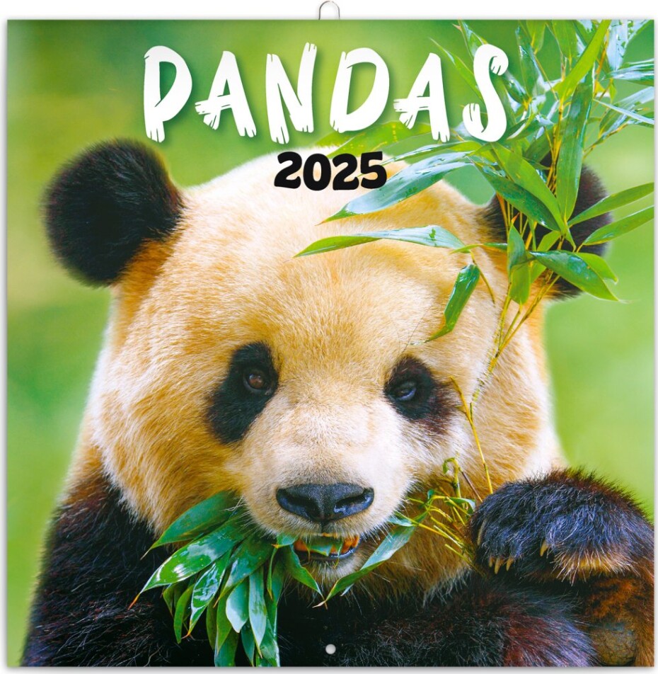 Kalendář 2025 poznámkový: Pandy, 30 × 30 cm - main (0)