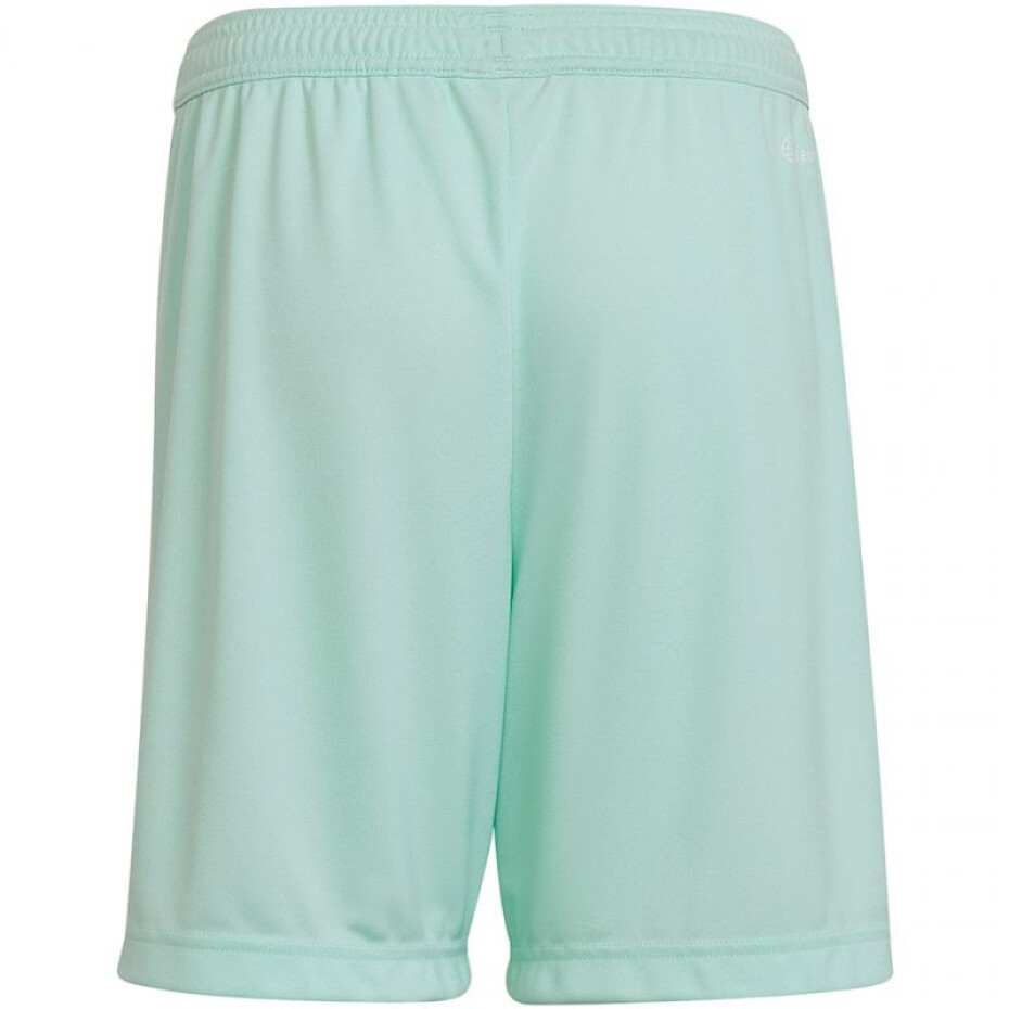 Dětské šortky Adidas Entrada 22 Jr HC5058 164 cm - main (1)