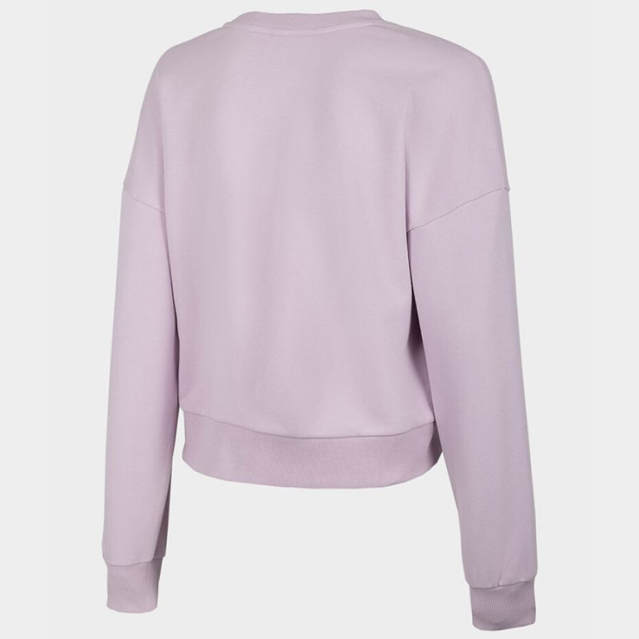 Dámská mikina s kapucí W H4L22-BLD023 52S - 4F 2XL - main (2)