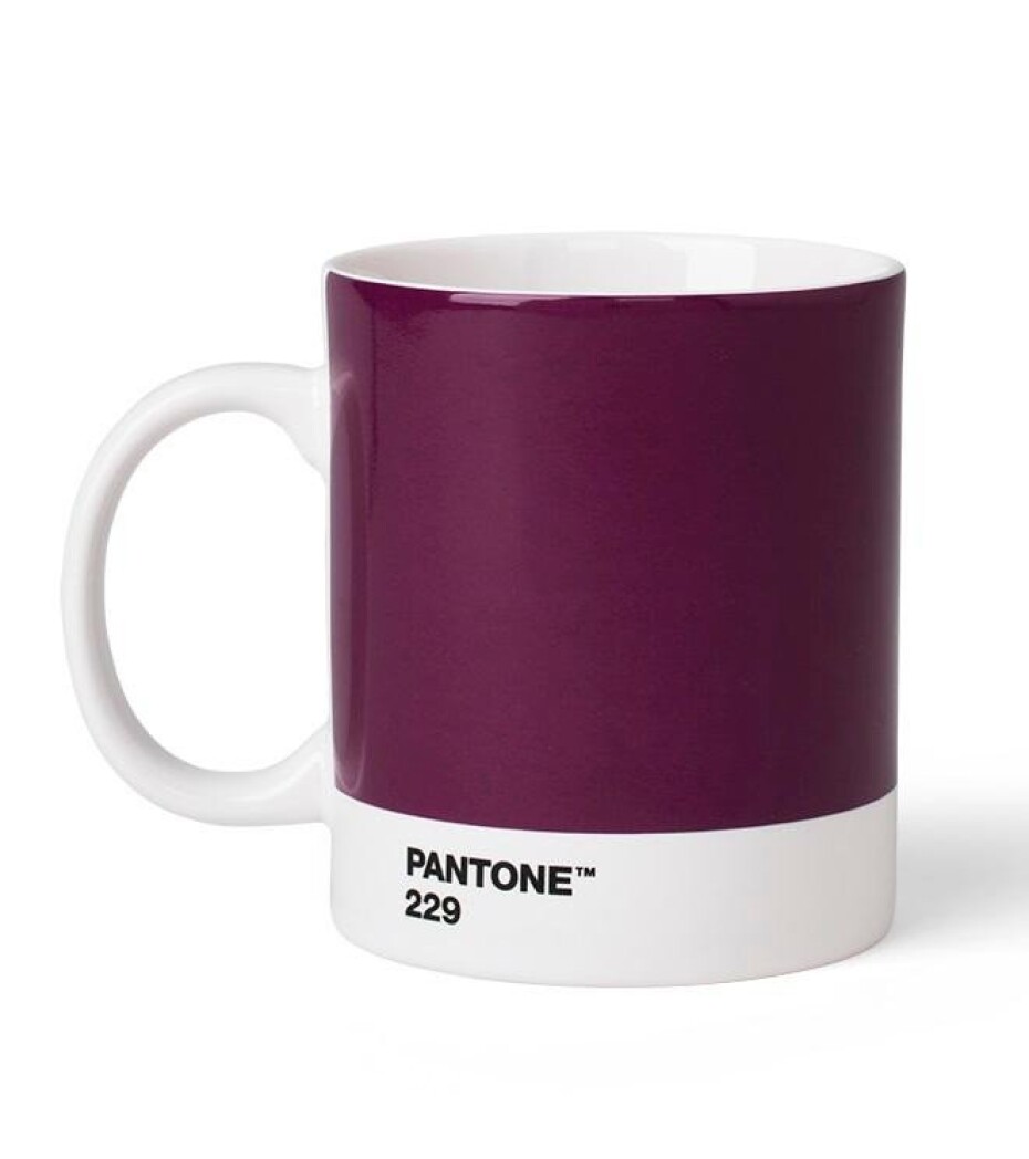 Pantone Hrnek - Aubergine 229 - main (0)