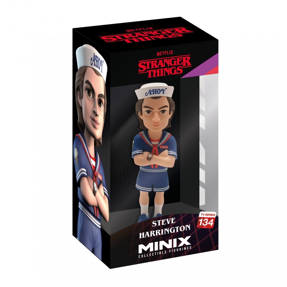 MINIX Netflix TV: Stranger Things - Steve - main (0)