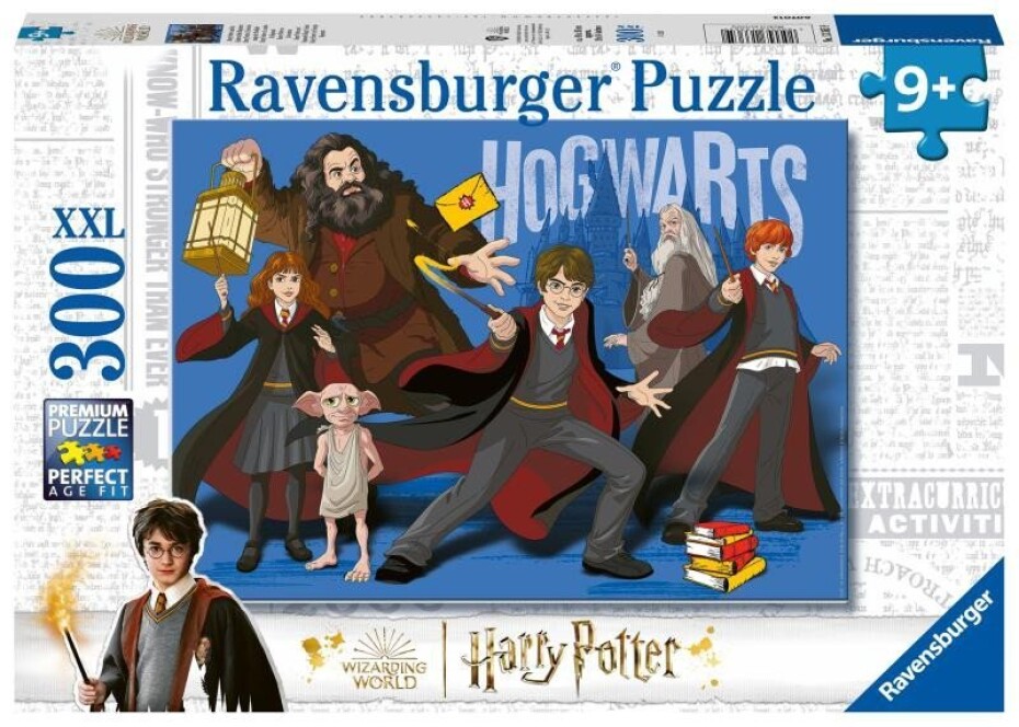 Puzzle Harry Potter: Čarodějové 300 dílků - main (0)