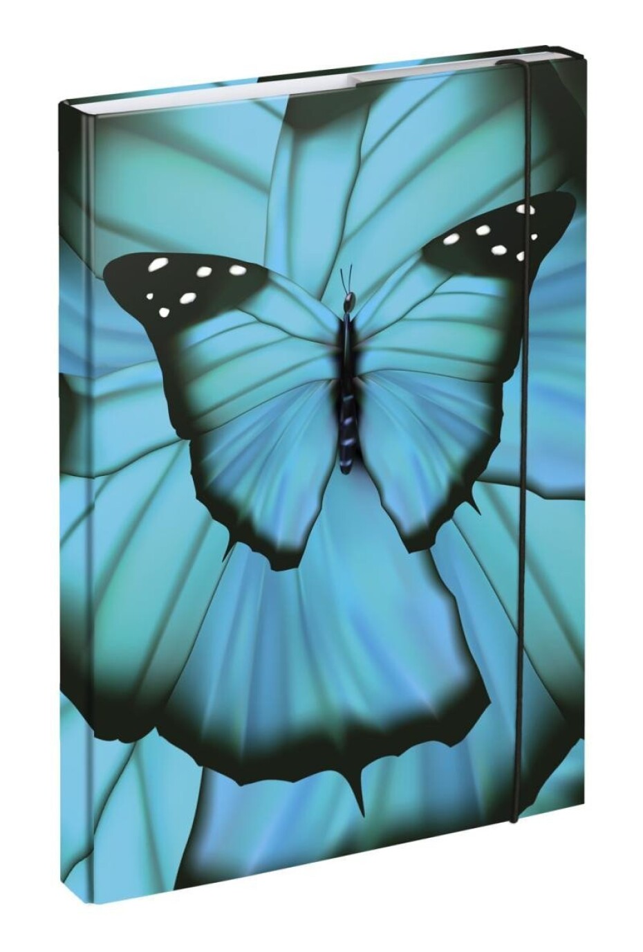 BAAGL Desky na školní sešity A4 - Butterfly - main (0)