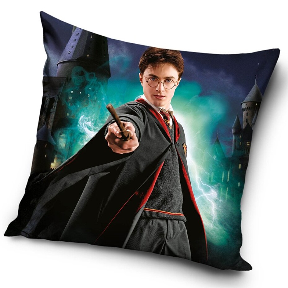 Povlak na polštářek Harry Potter Chlapec který Přežil - main (0)
