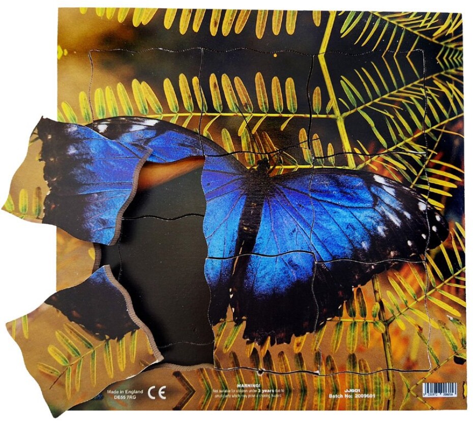 Just Jigsaws 601 Motýl a jeho životní cyklus - dřevěné vrstvené puzzle 19 dílů - main (0)