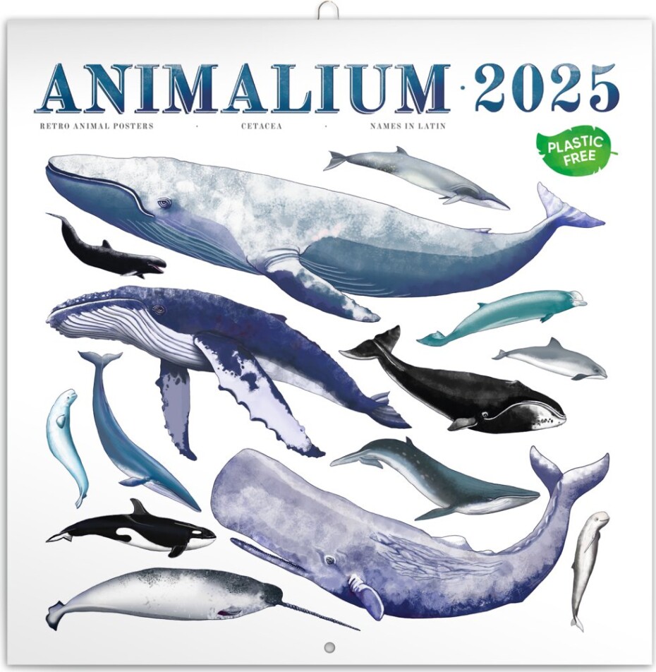 Kalendář 2025 poznámkový: Animalium, 30 × 30 cm - main (0)