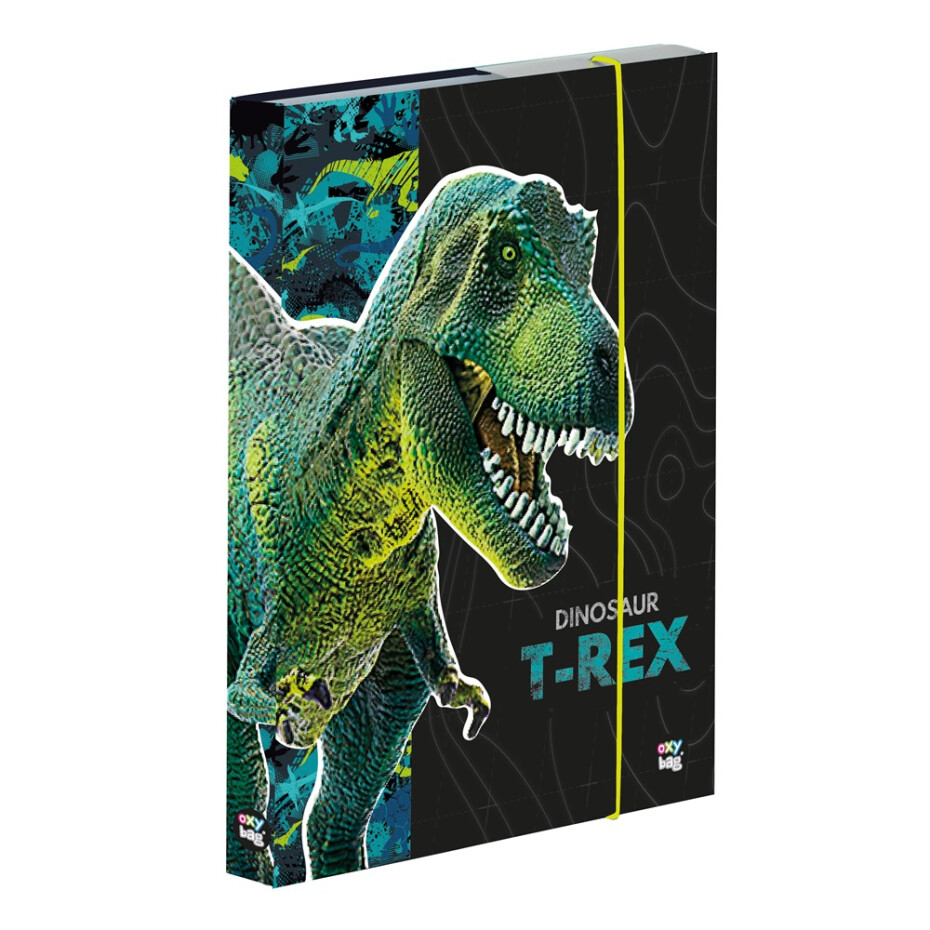 Box na sešity A5 Premium - Dinosaurus - main (0)