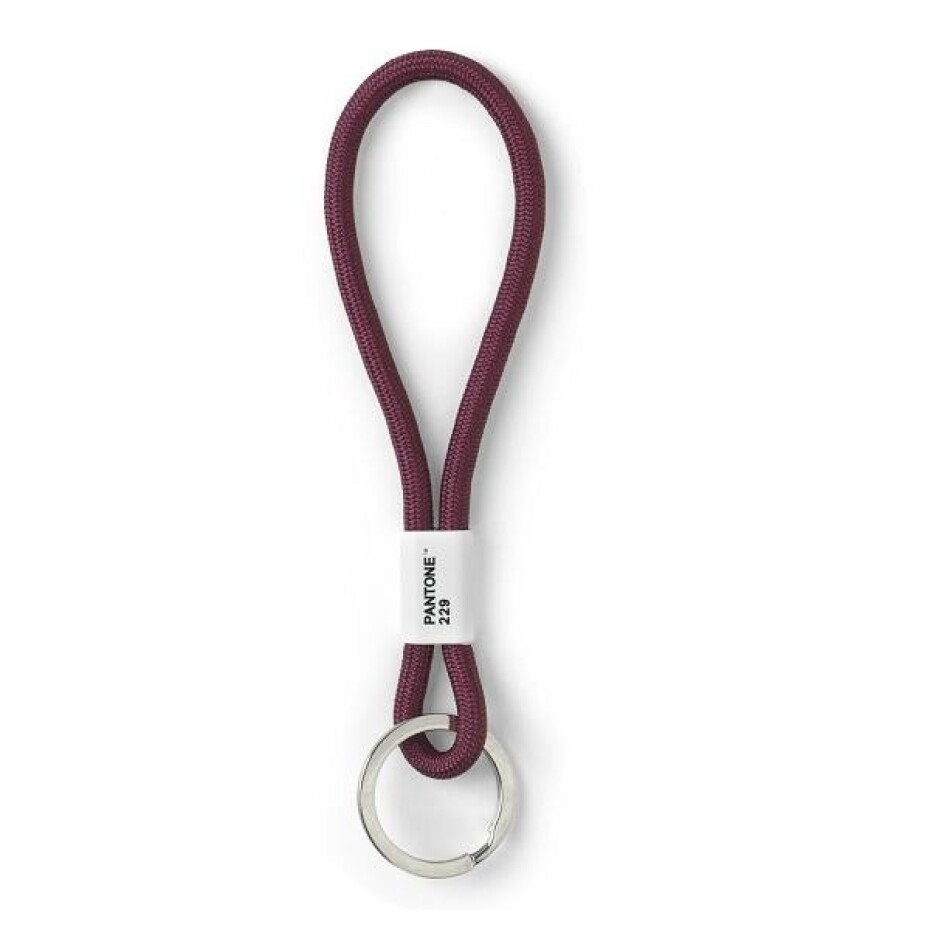 Pantone Poutko na klíče S - Aubergine 229 - main (0)