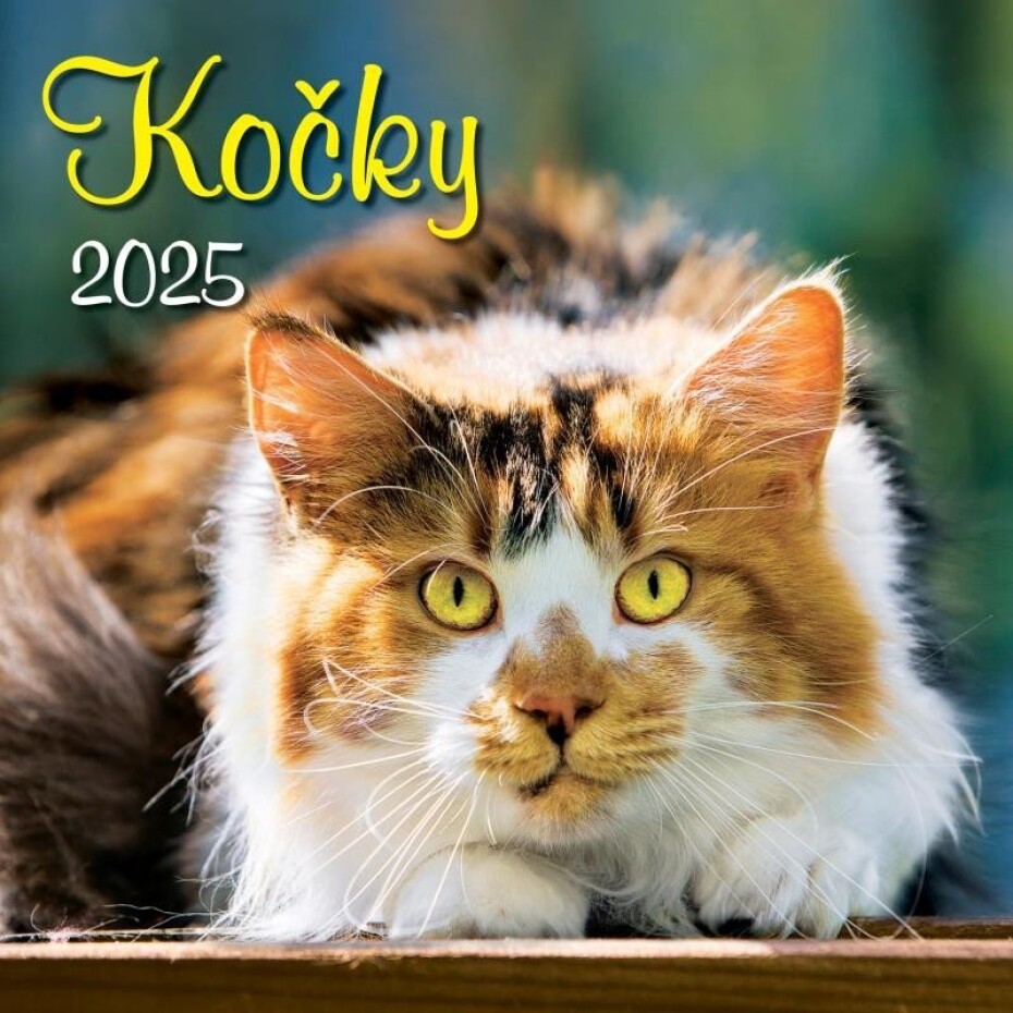 Kalendář 2025 Kočky, nástěnný, 33 x 33 cm - main (0)
