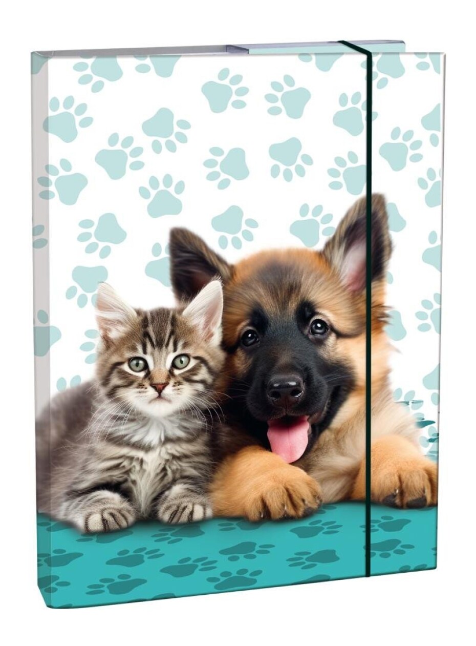 Box na sešity A5 Cute Friends - main (0)