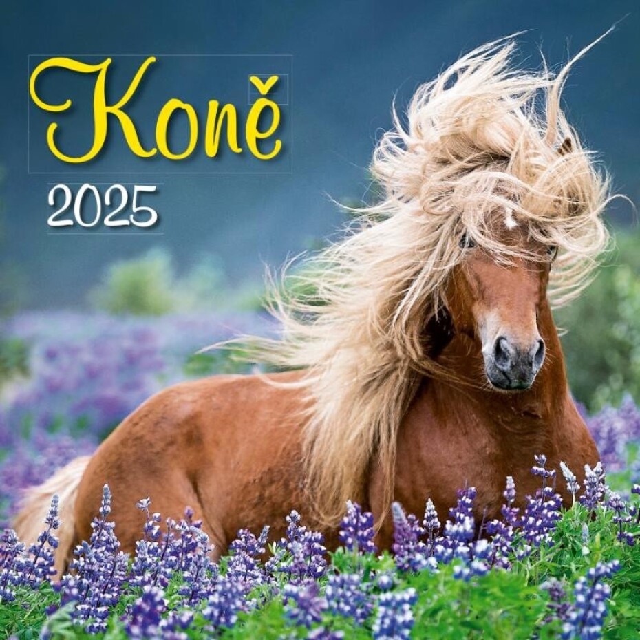 Kalendář 2025 Koně, nástěnný, 33 x 33 cm - main (0)
