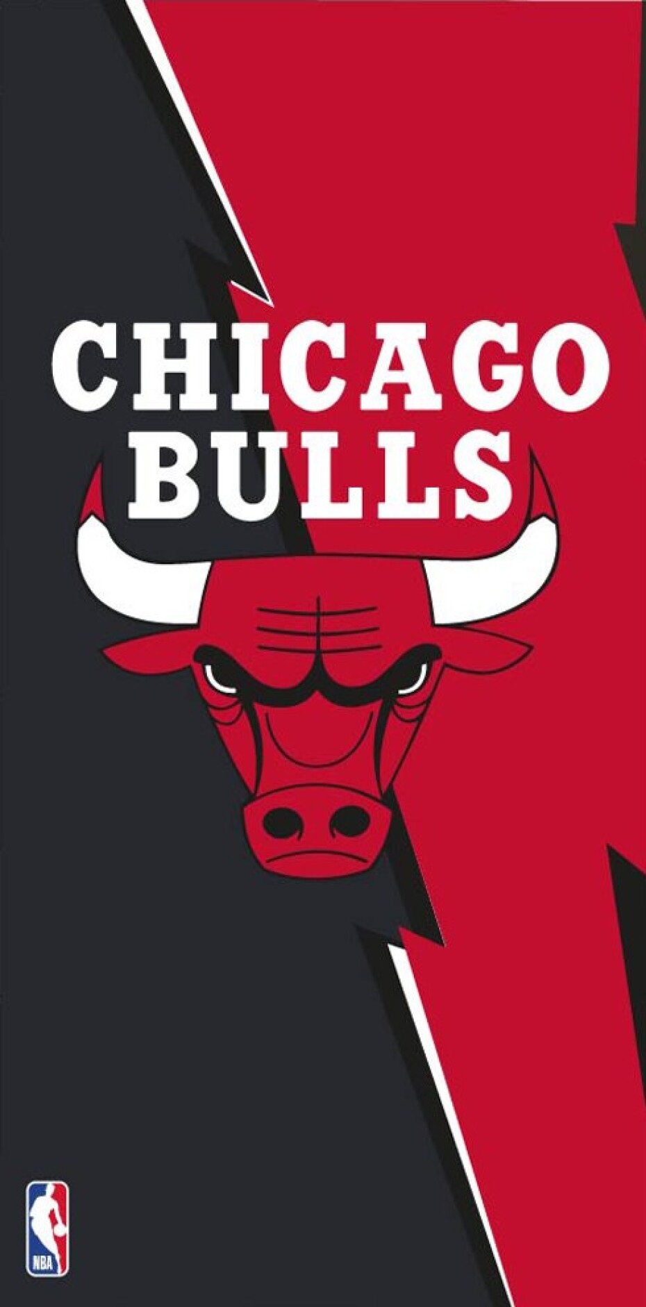 Froté osuška NBA Chicago Bulls - main (0)