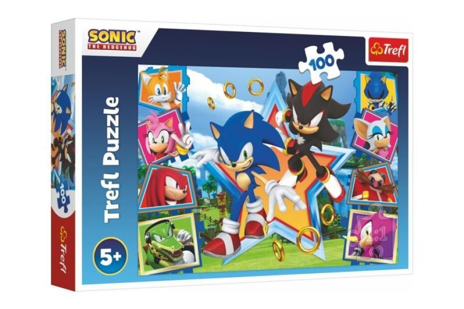 Puzzle Sonic: Seznamte se s ježkem 100 dílků - main (0)