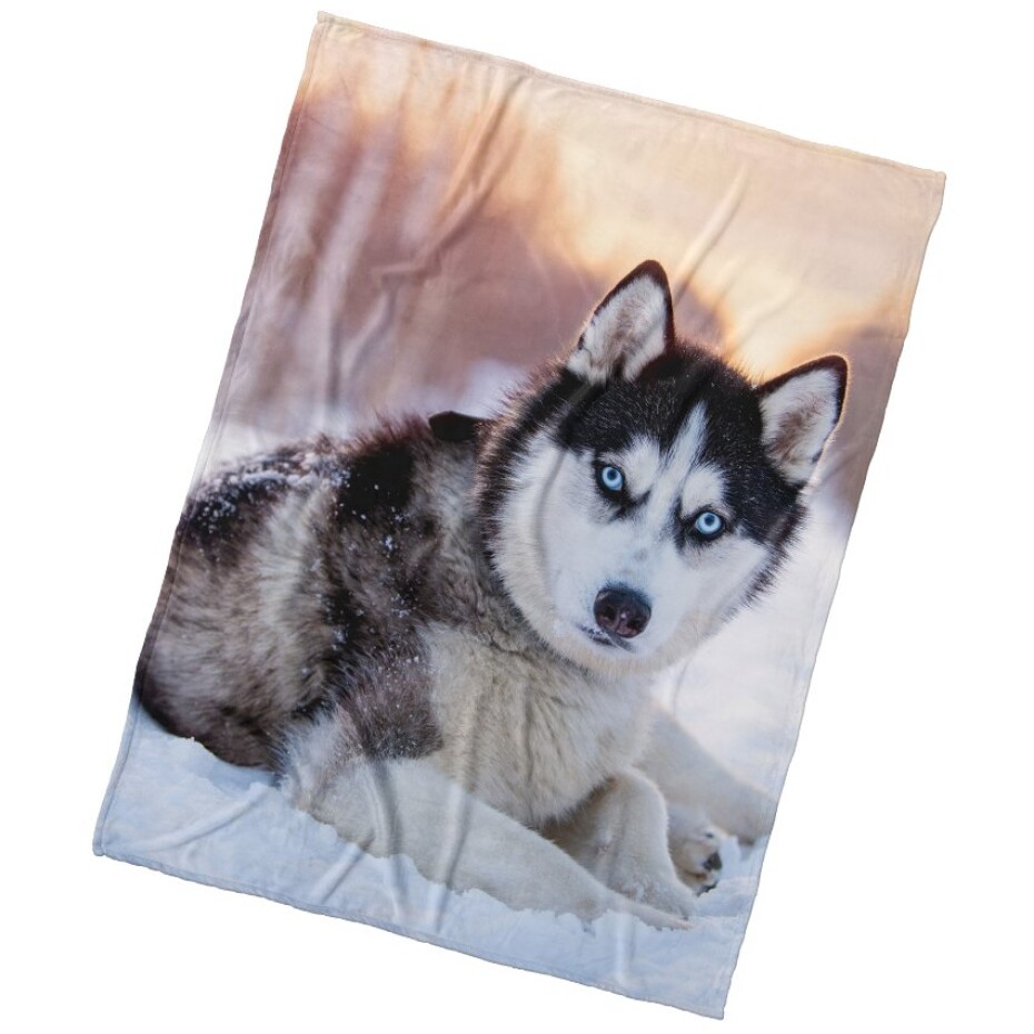 Mikroplyšová deka Pes Sibiřský Husky 150x200 cm - main (0)