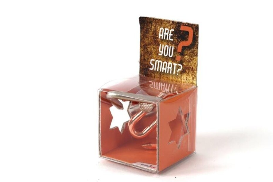 Recenttoys Hlavolam - Are you Smart - main (0)