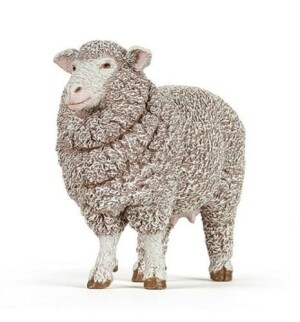 Product detail of Ovce merino