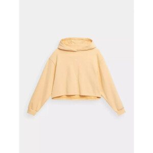 Product detail of Dámská mikina W 4FSS23TSWSF244-73S - 4F XXL