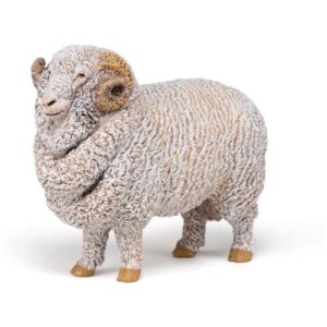 Product detail of Beran merino