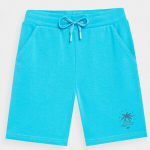 Product detail of Chlapecké juniorské šortky 4FJSS23TSHOM047 35S - 4F 164 cm