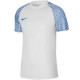 Pánské tričko Nike Dri-FIT Academy Jsy SS M DH8031 102 m - thumb (0)