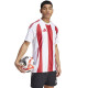 Adidas Striped 24 JSY M IW2142 tričko L - thumb (0)