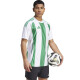 Adidas Striped 24 JSY M IW2148 tričko m - thumb (4)