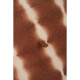 Baret Art Of Polo Cz23209-4 Brown UNI - thumb (1)