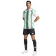 Adidas Striped 24 JSY M IW2148 tričko m - thumb (2)