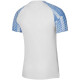 Pánské tričko Nike Dri-FIT Academy Jsy SS M DH8031 102 m - thumb (1)