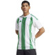 Adidas Striped 24 JSY M IW2148 tričko m - thumb (0)