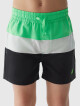 Chlapecké plážové šortky typu boardshorts 4F - zelené Velikost: 134/140 - thumb (5)